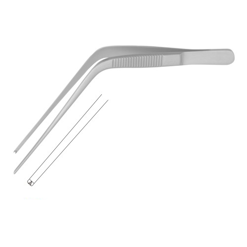 Alligator & Ear Forceps