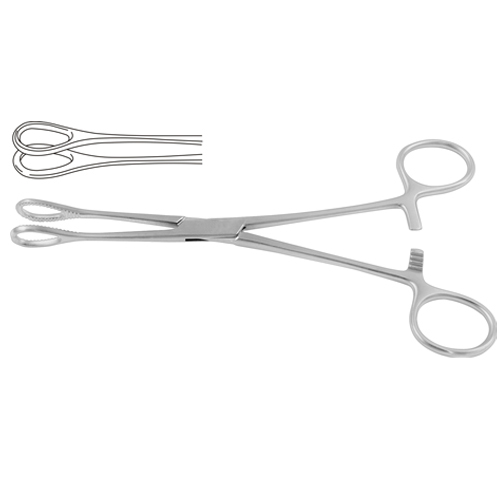 Sponge Holding and Sinus Forceps